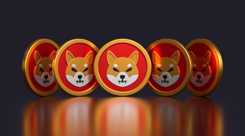 Shiba INU News